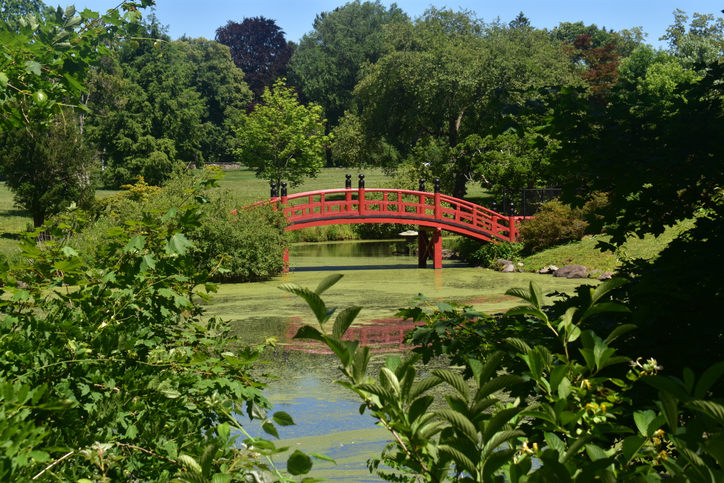 Panoramic Image of Somerset, NJ